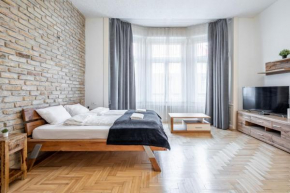 Central Luxury Apartment with AC